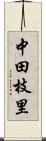 中田枝里 Scroll