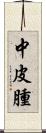 中皮腫 Scroll