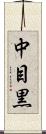 中目黒 Scroll