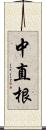 中直根 Scroll