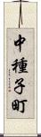 中種子町 Scroll