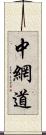 中網道 Scroll