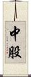 中股 Scroll