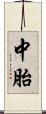 中胎 Scroll