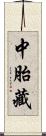 中胎藏 Scroll