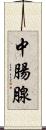 中腸腺 Scroll