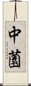 中薗 Scroll