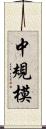 中規模 Scroll