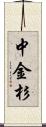 中金杉 Scroll