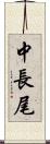 中長尾 Scroll