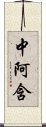 中阿含 Scroll