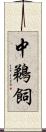 中鵜飼 Scroll