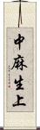 中麻生上 Scroll