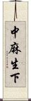 中麻生下 Scroll