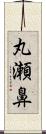 丸瀬鼻 Scroll