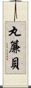 丸簾貝 Scroll