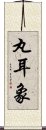 丸耳象 Scroll