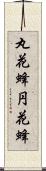 丸花蜂 Scroll