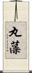 丸藻 Scroll