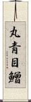 丸青目鱛 Scroll