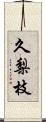 久梨枝 Scroll