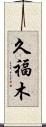 久福木 Scroll