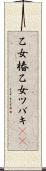 乙女椿 Scroll
