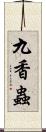 九香蟲 Scroll
