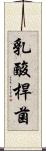 乳酸桿菌 Scroll