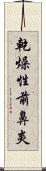 乾燥性前鼻炎 Scroll