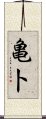 亀卜 Scroll