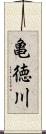 亀徳川 Scroll