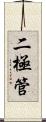二極管 Scroll