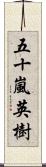 五十嵐英樹 Scroll