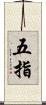 五指 Scroll