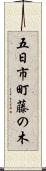 五日市町藤の木 Scroll