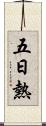 五日熱 Scroll
