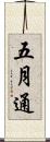 五月通 Scroll