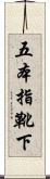 五本指靴下 Scroll