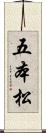 五本松 Scroll