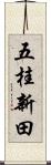 五桂新田 Scroll