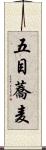 五目蕎麦 Scroll