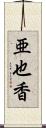 亜也香 Scroll