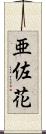 亜佐花 Scroll