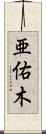 亜佑木 Scroll