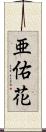 亜佑花 Scroll