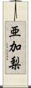 亜加梨 Scroll