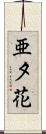 亜夕花 Scroll