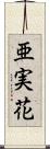 亜実花 Scroll