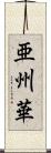 亜州華 Scroll